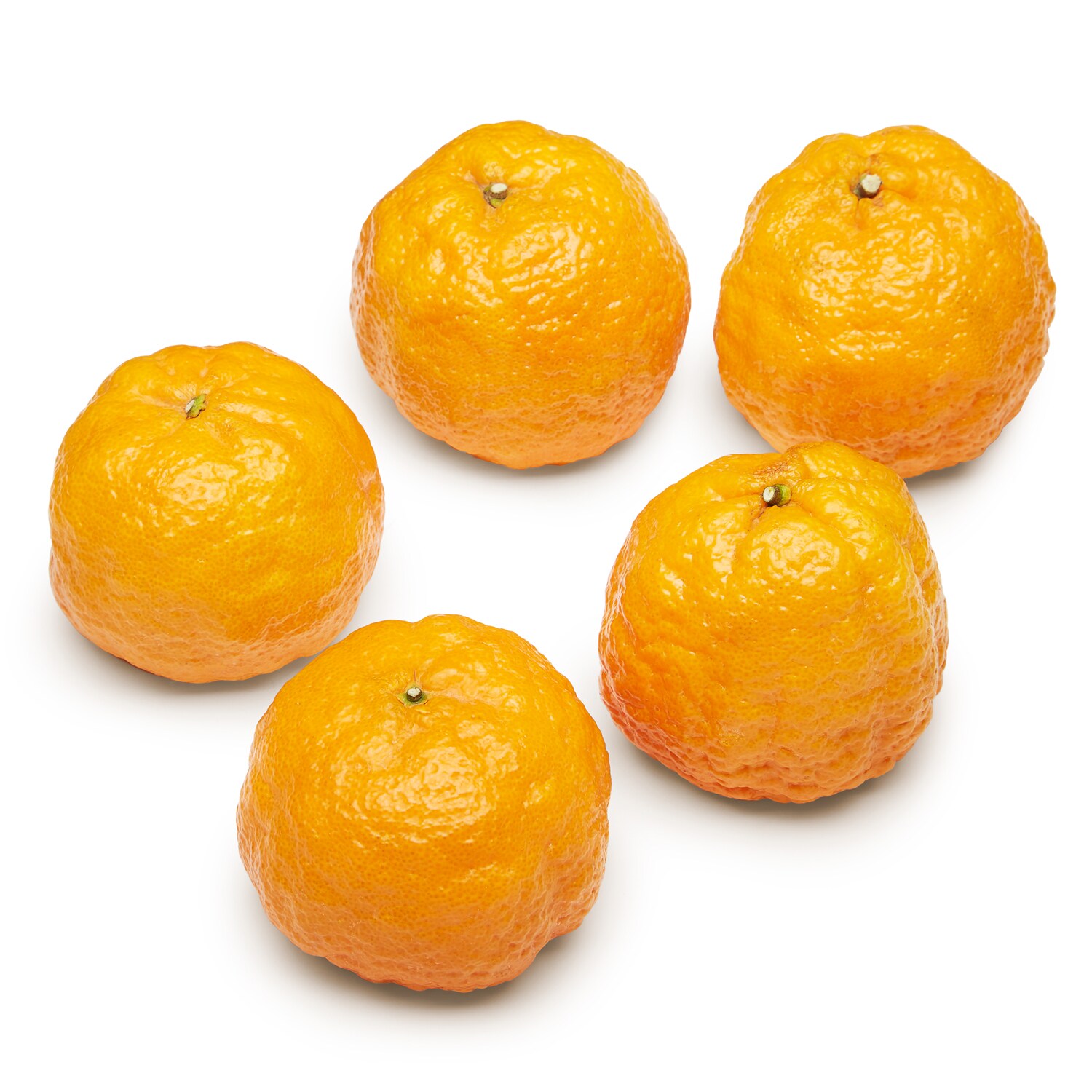 Gold Nugget Mandarin