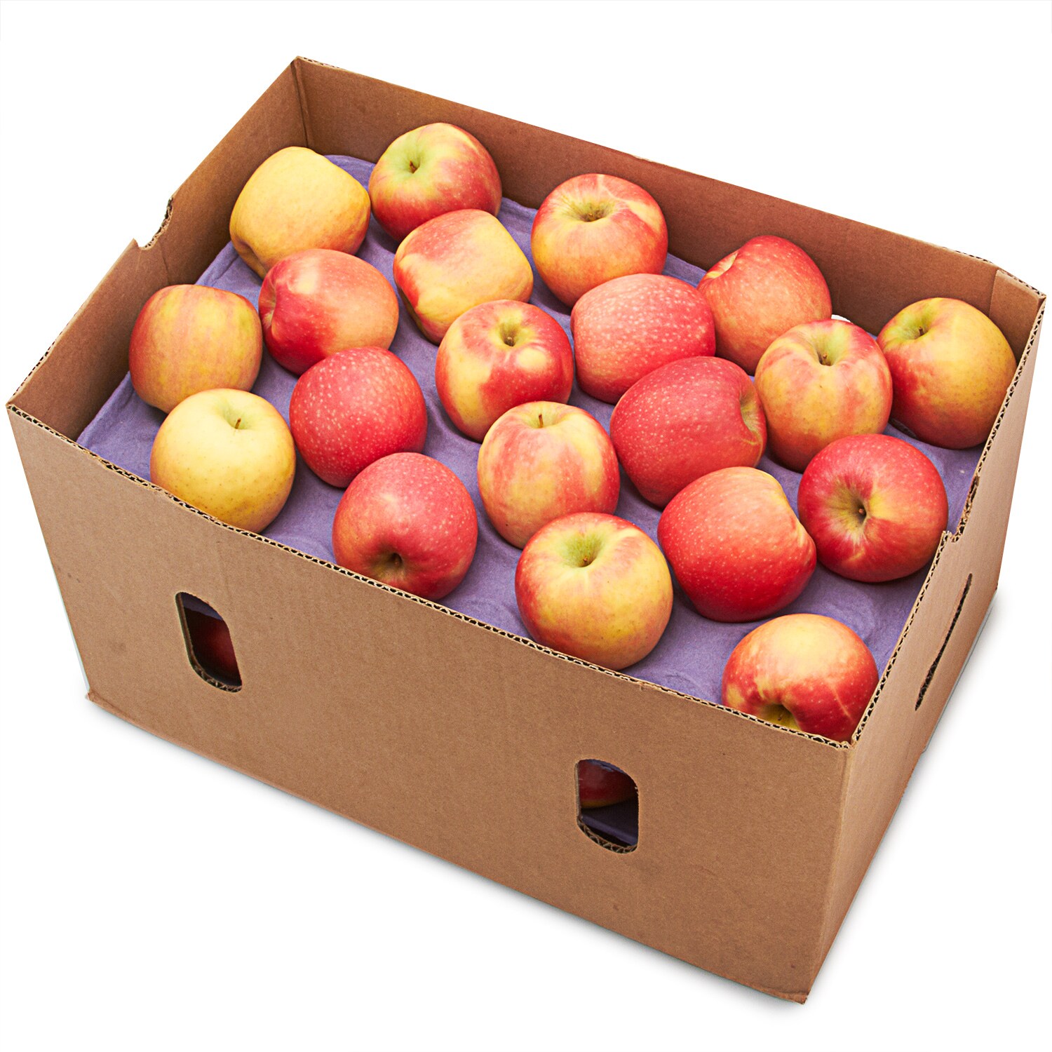 Gala Apples, Case