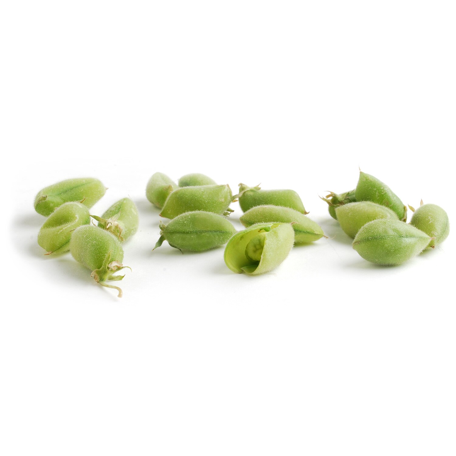 Young Garbanzo Beans