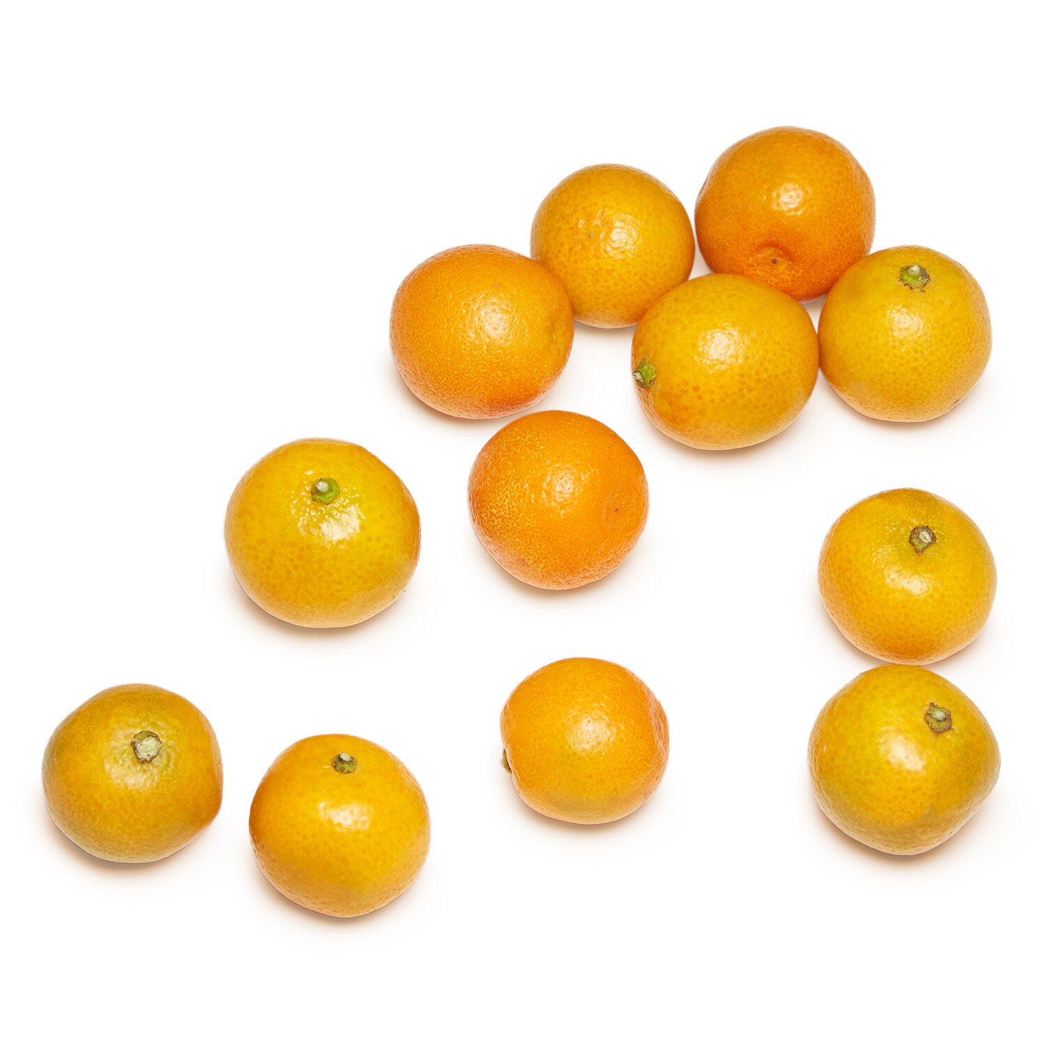 Calamondin