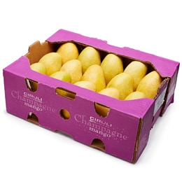 Ciruli Brothers Champagne Mango, Case