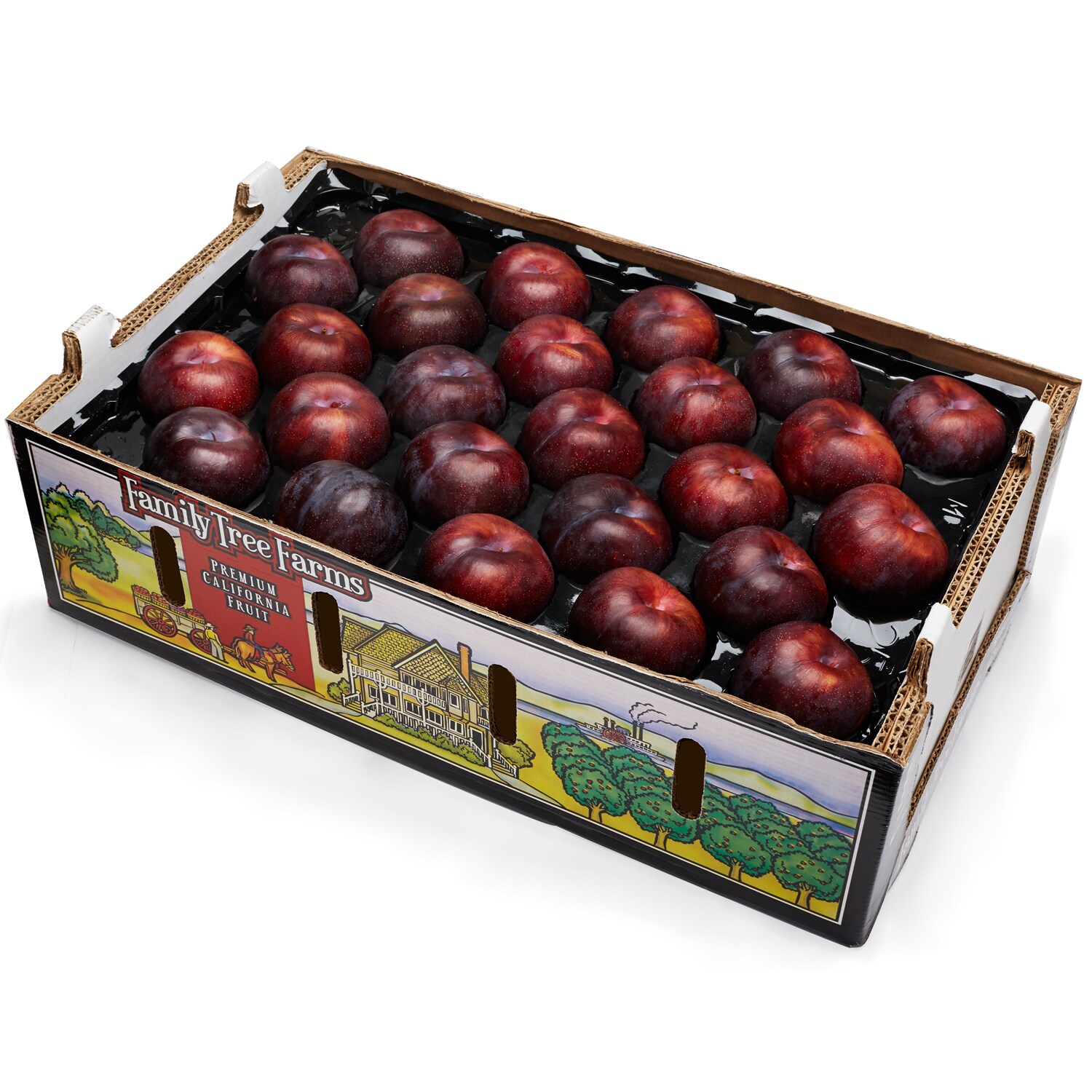 Family Tree Farms Plumogranate Plumcot, Case