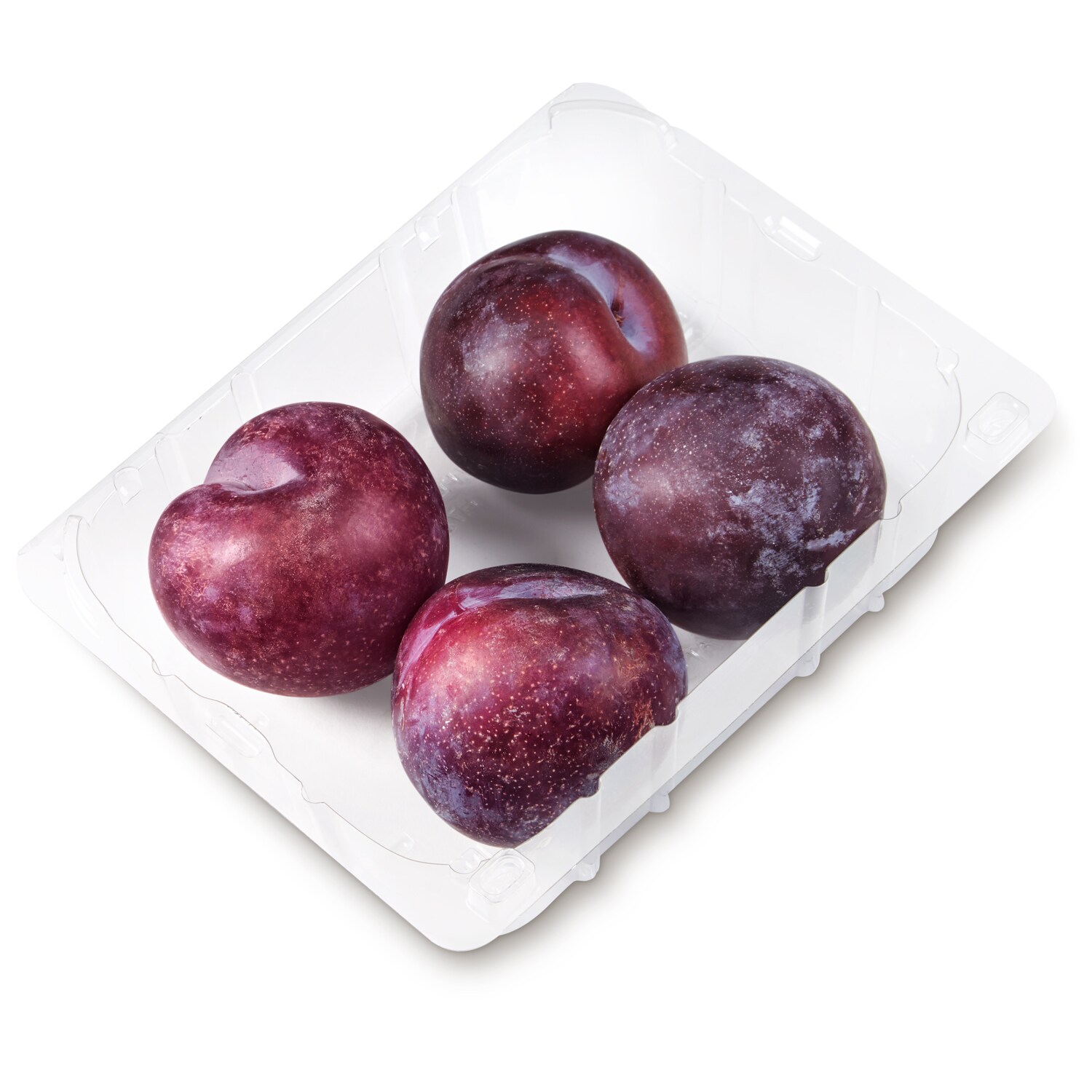 Frog Hollow Farm Organic Plumcots