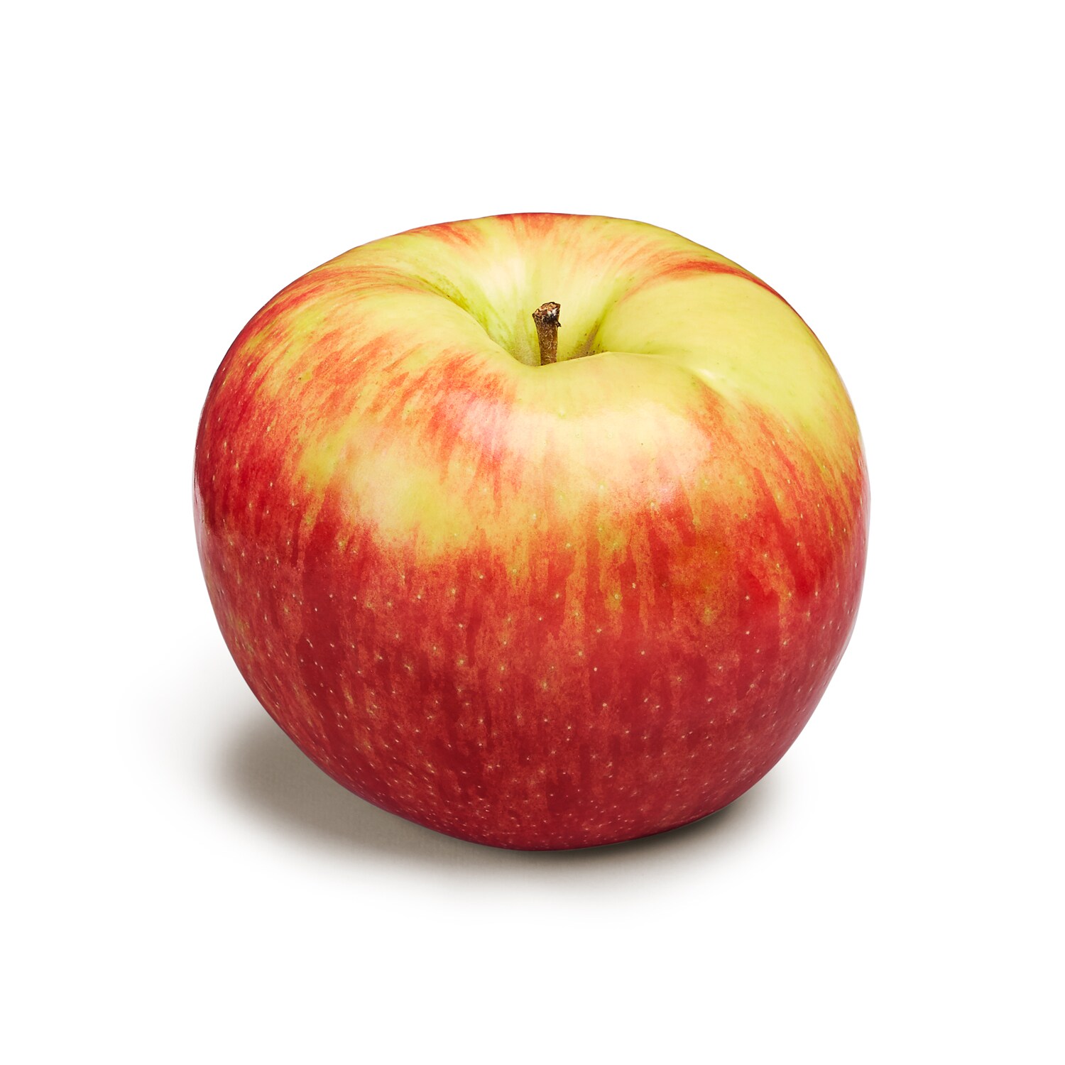 Giant Ultra-Premium Honeycrisp Apple