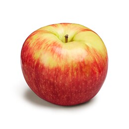 Giant Ultra-Premium Honeycrisp Apple