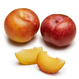 Family Tree Farms Gold Rush Plumcot