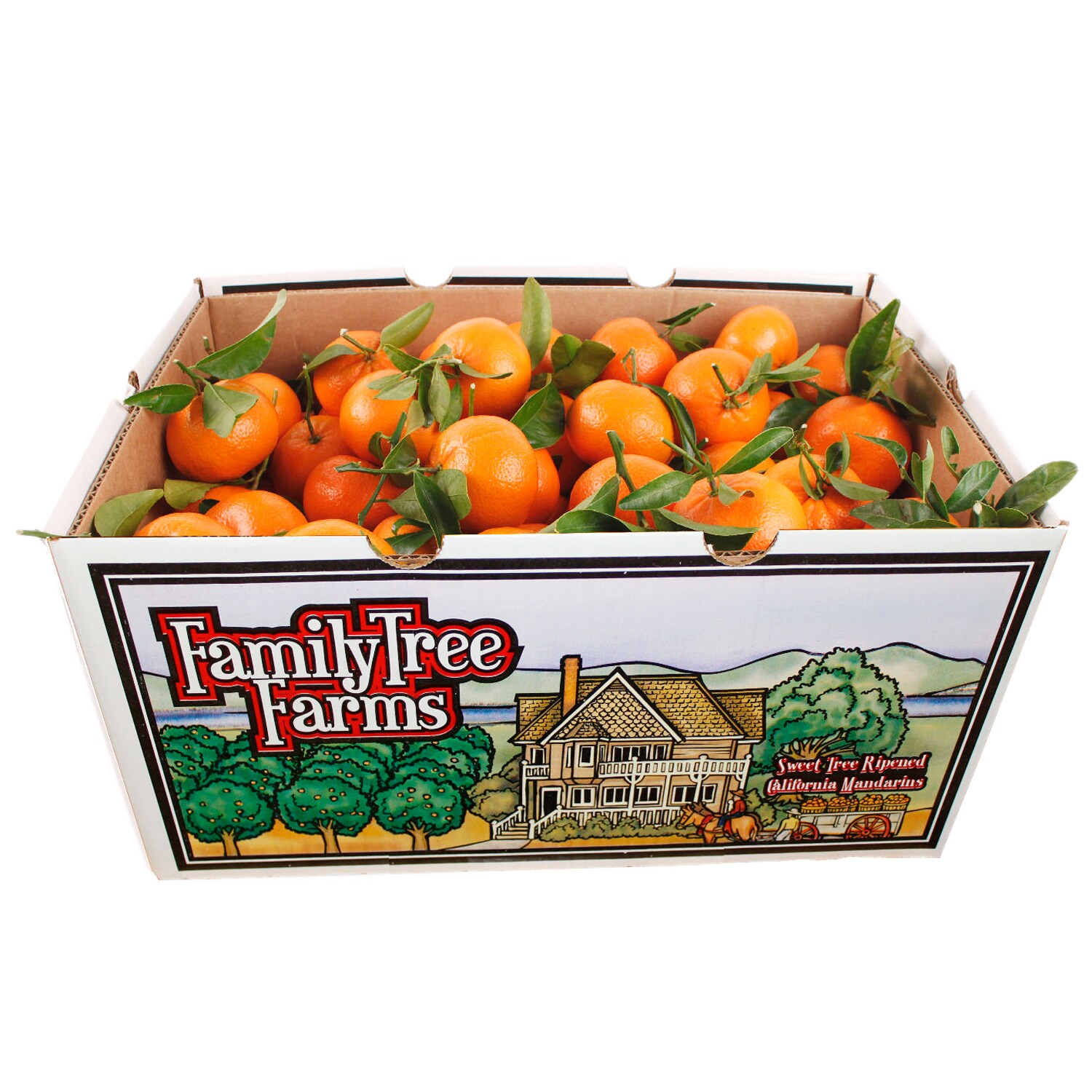 Family Tree Farms Satsuma Mandarins, Case