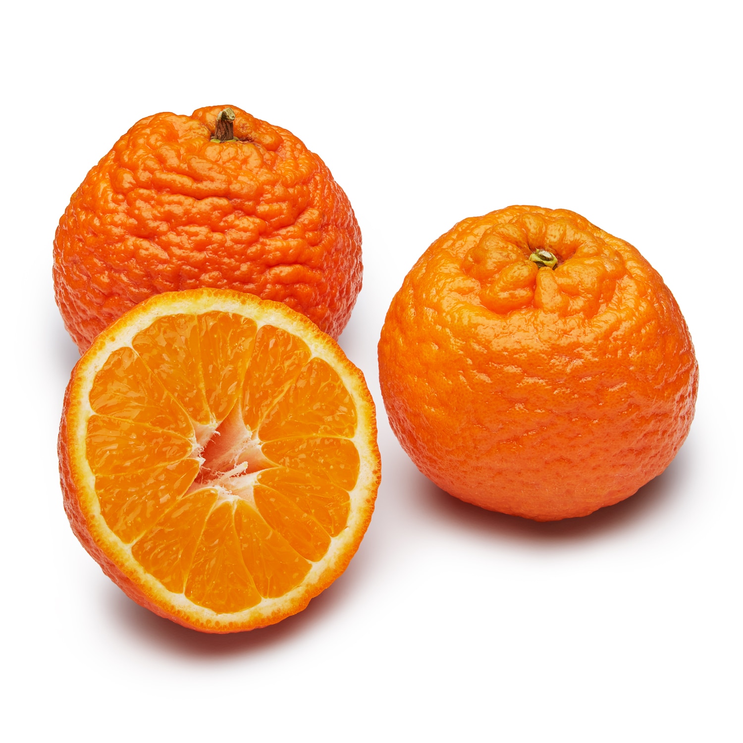 Supernova Tangerine 