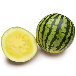 Dulcinea Seedless Sunny Gold Baby Melon