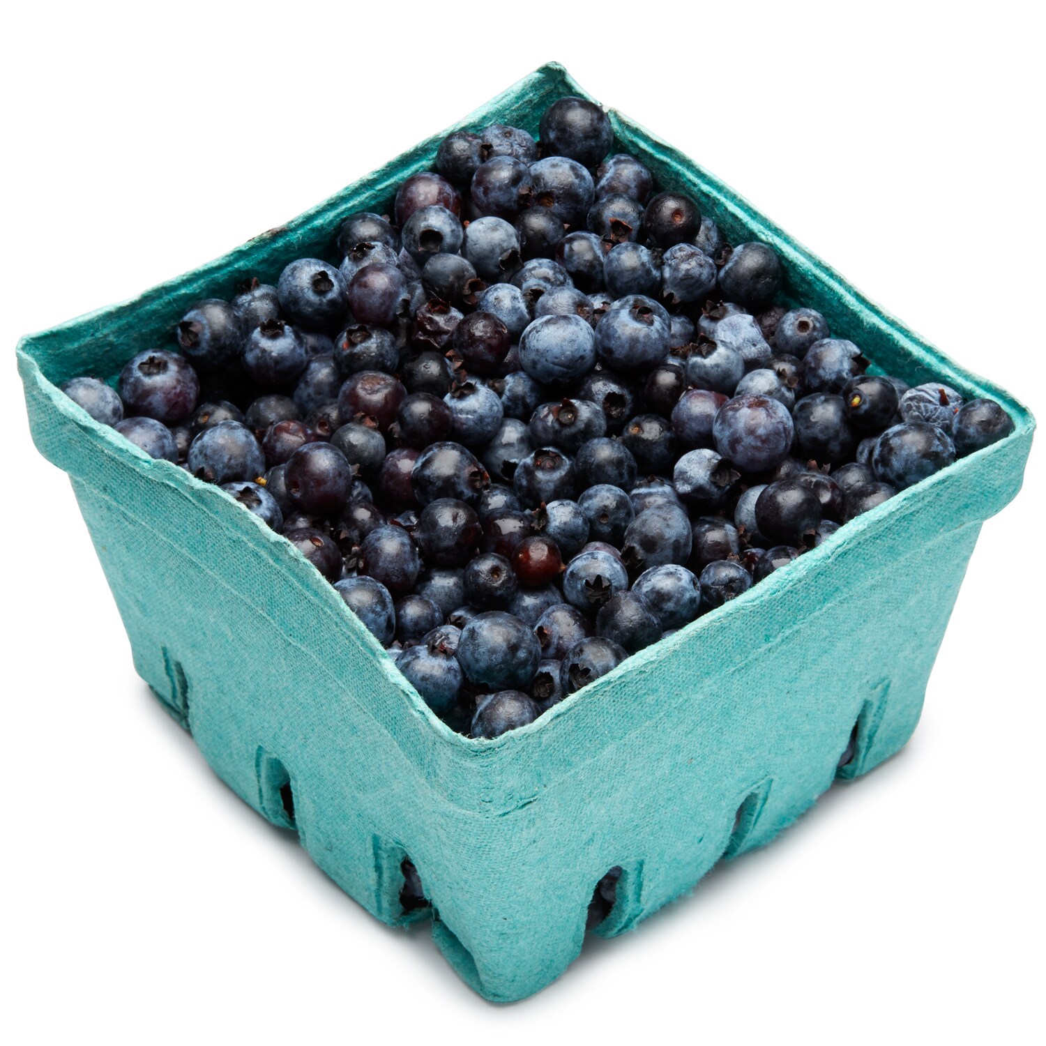 Wild Maine Blueberries