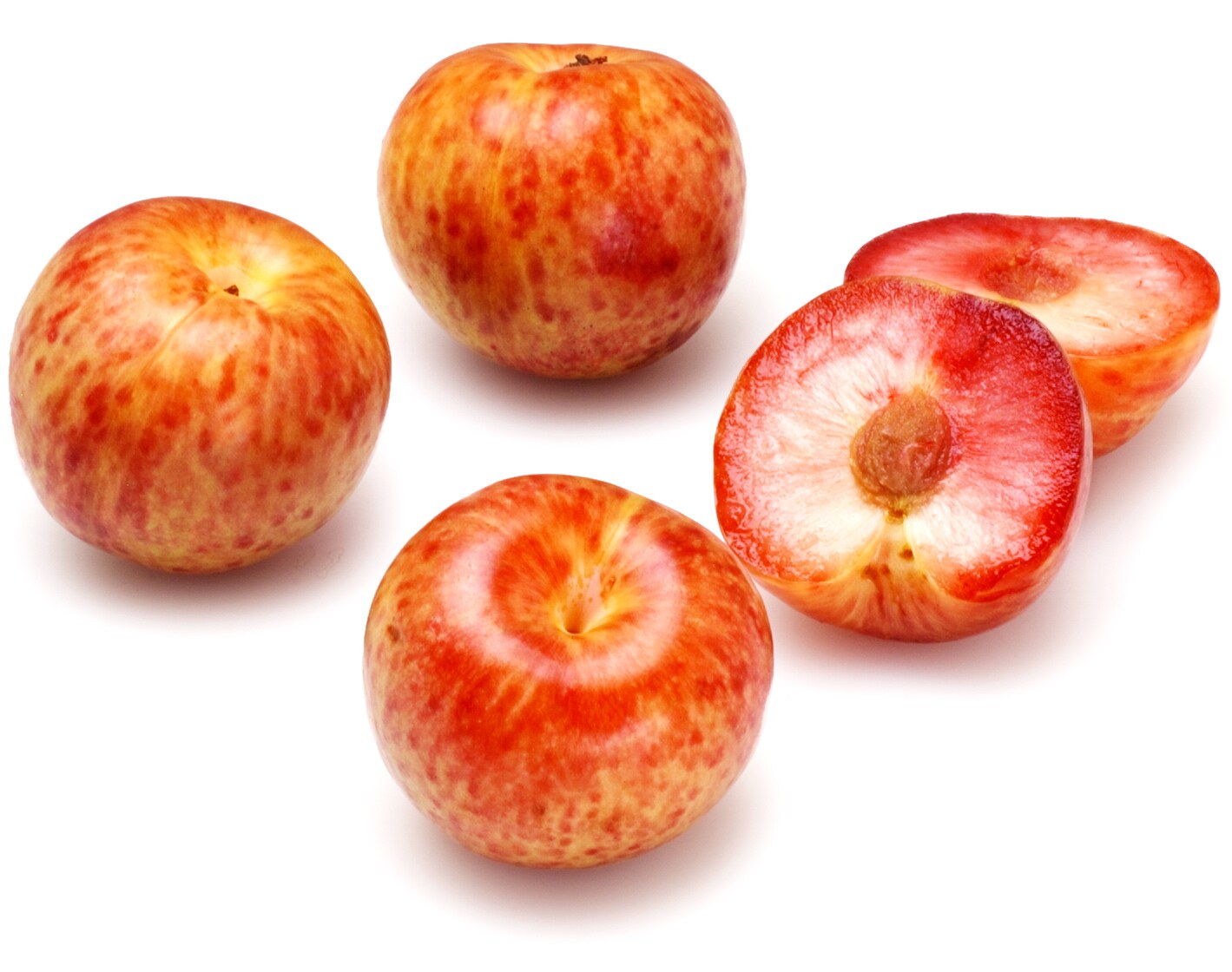 Plumcots