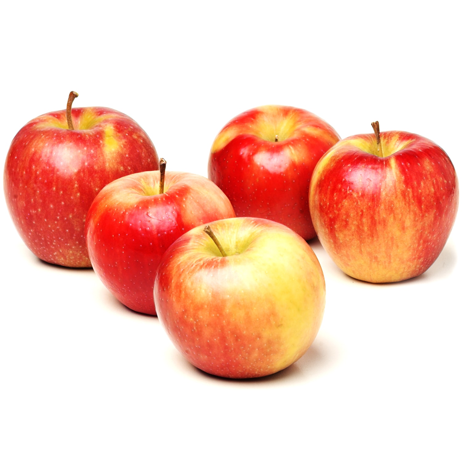 Order Hudson Valley Honeycrisp Apples Fast Delivery