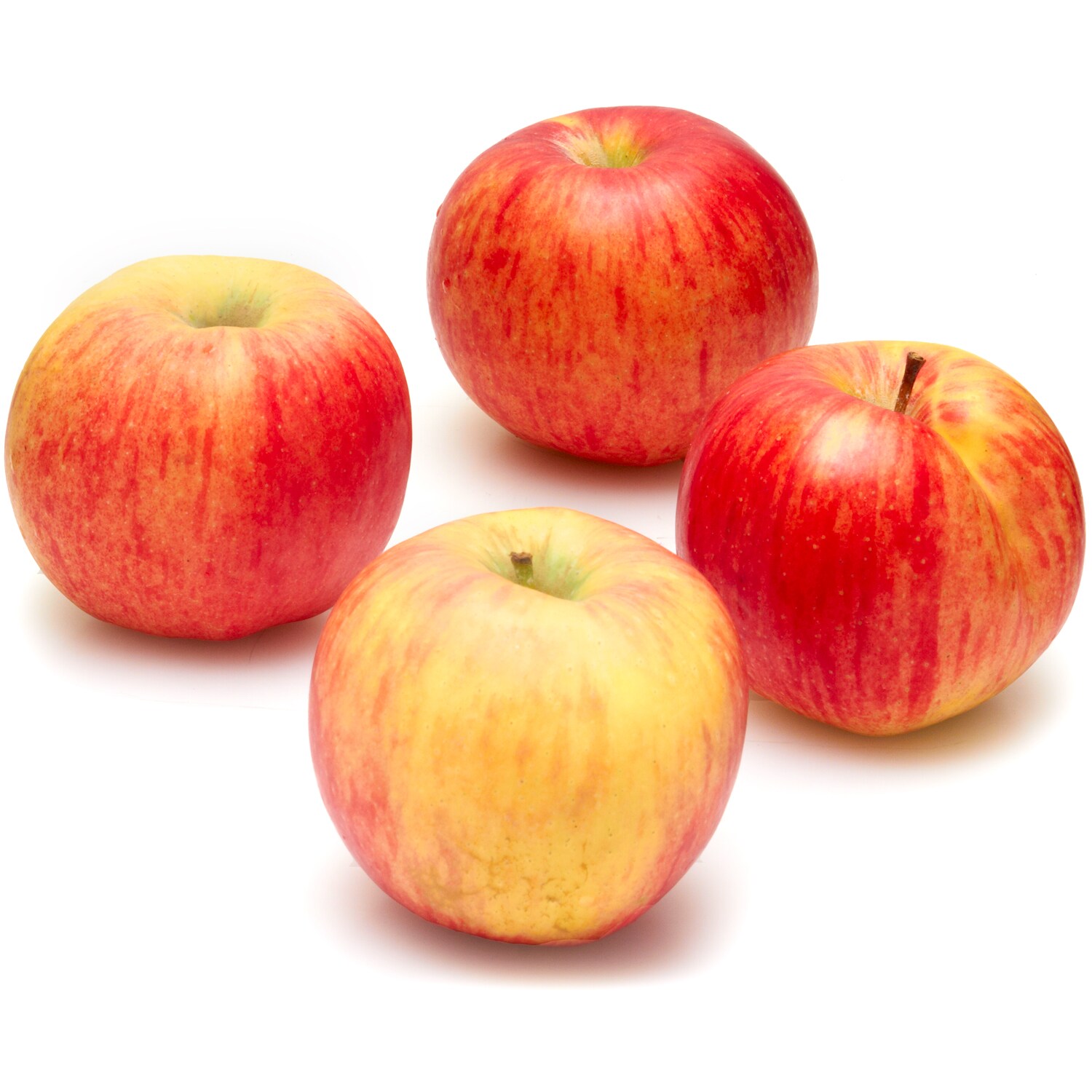 Rainier Lady Alice Apples