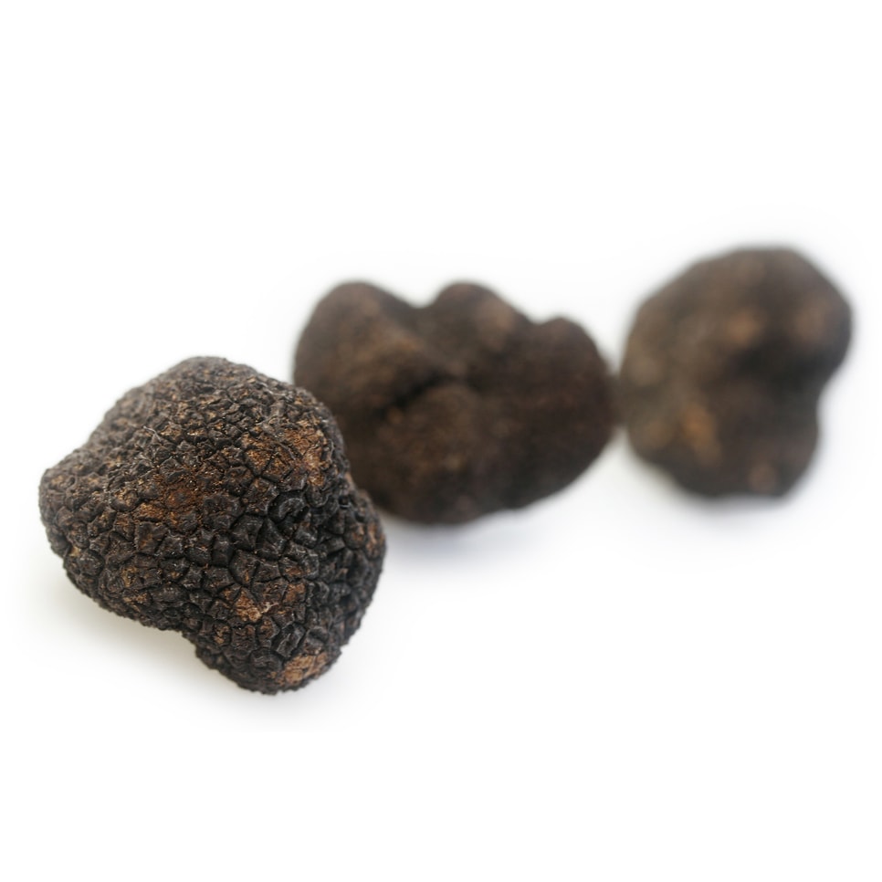 Black Winter Truffles