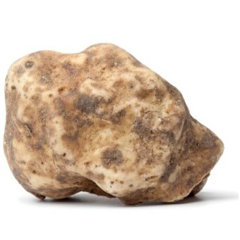 White Truffles