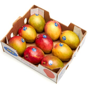 Tommy Atkins Mangoes, Case
