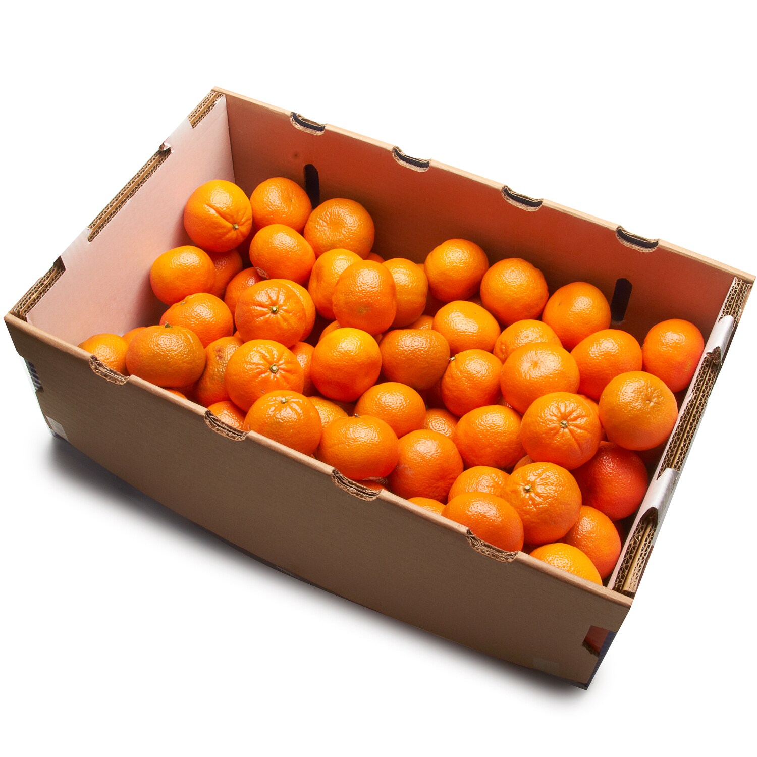 Organic Mandarins, Case