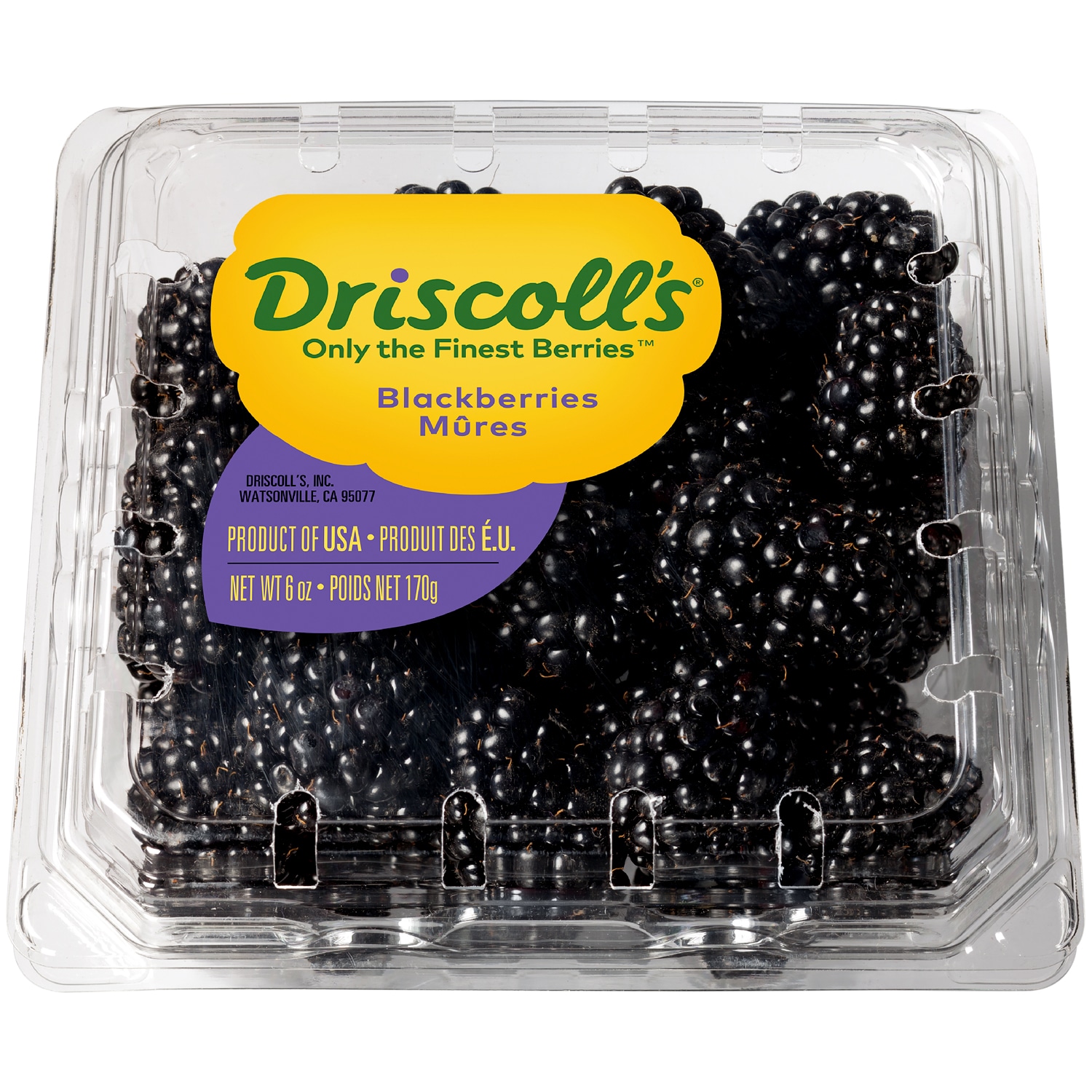 Driscoll's Limited Edition Sweetest Batch Blackberries