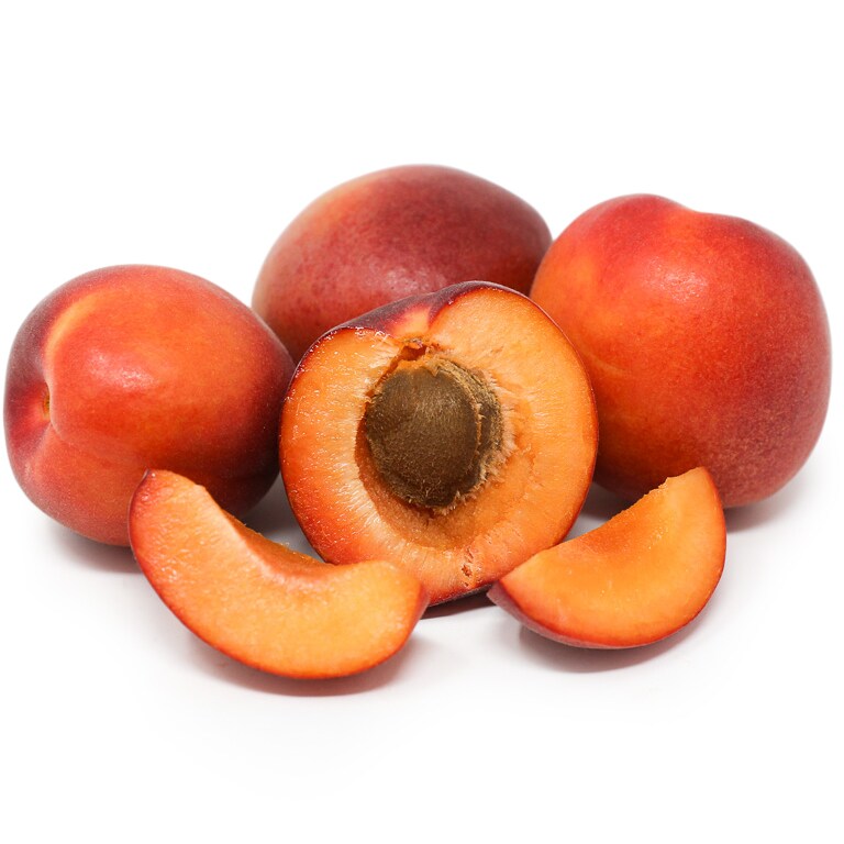 Family Tree Farms Sunset Apricot
