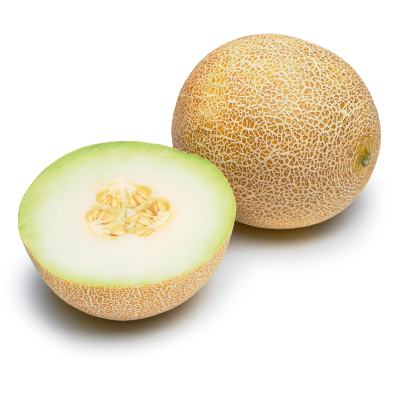 Organic Galia Melon