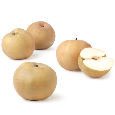 Champlain Orchards Olympic Asian Pears