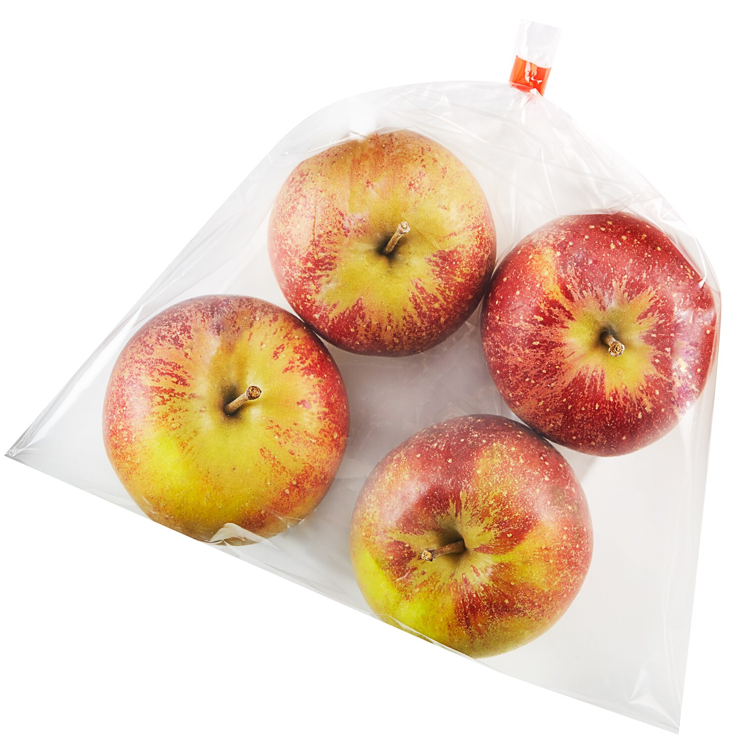 Scott Farm Ananas Reinette Heirloom Apples