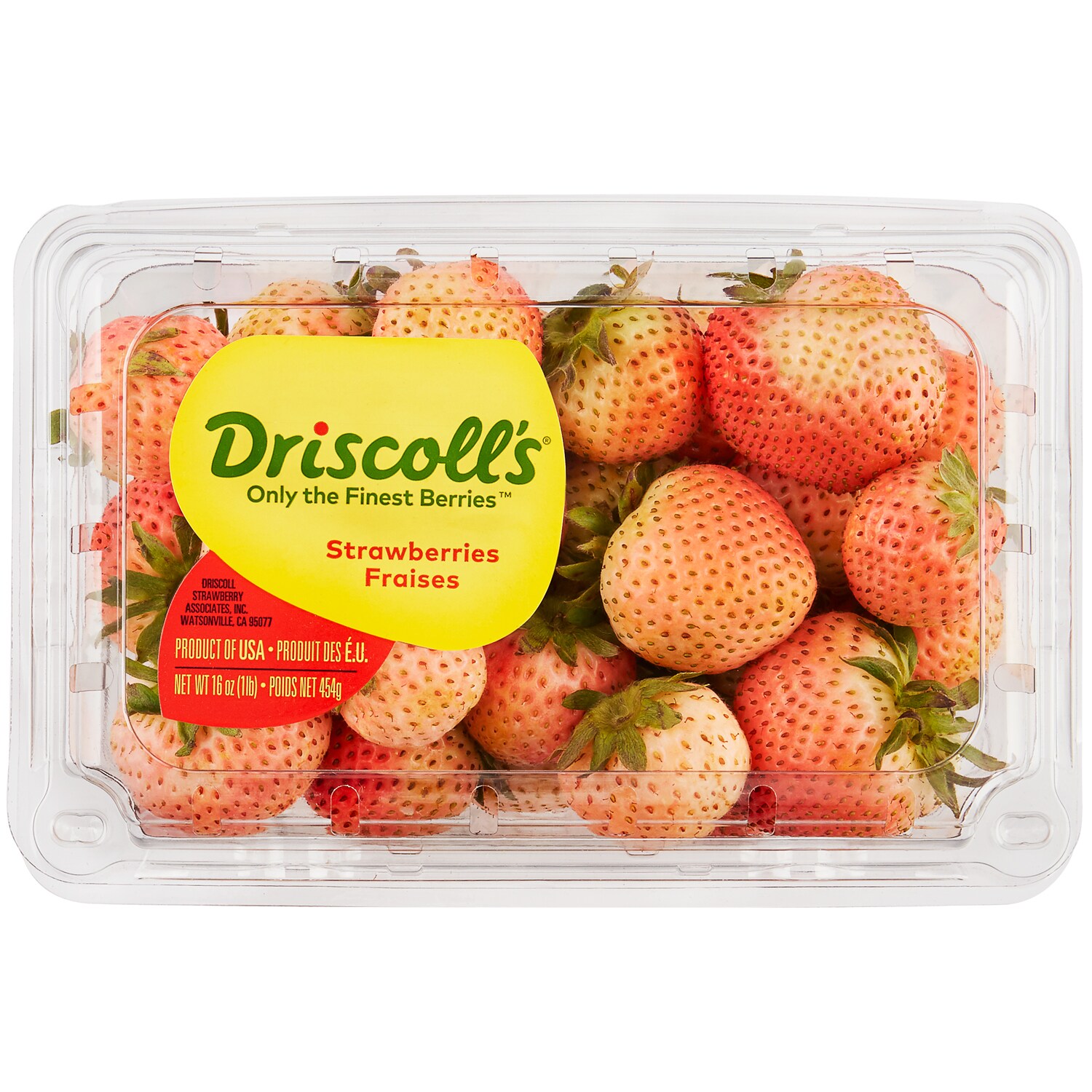 Driscoll's Blush Berries