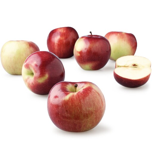 Organic McIntosh Apples 