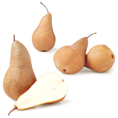Organic Bosc Pear