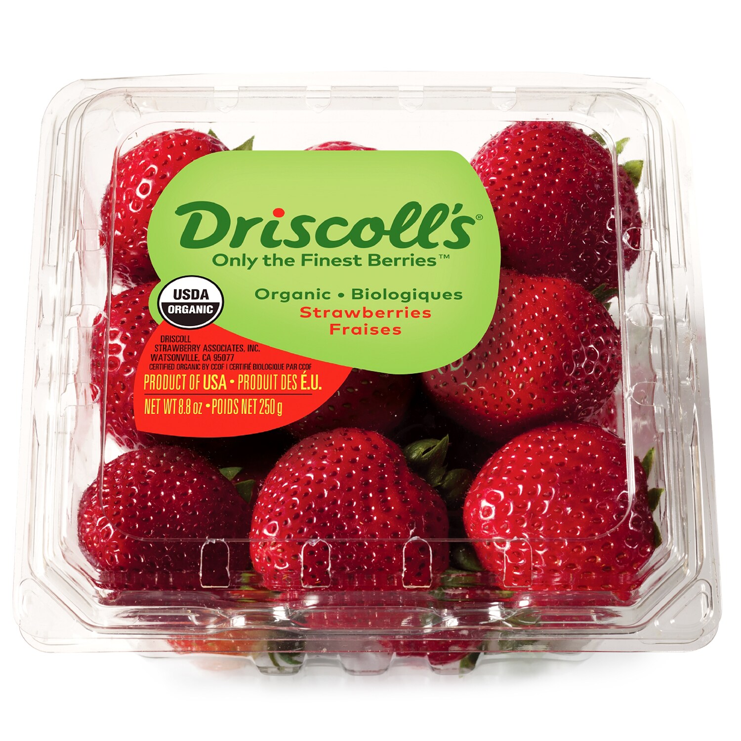 Organic Strawberries