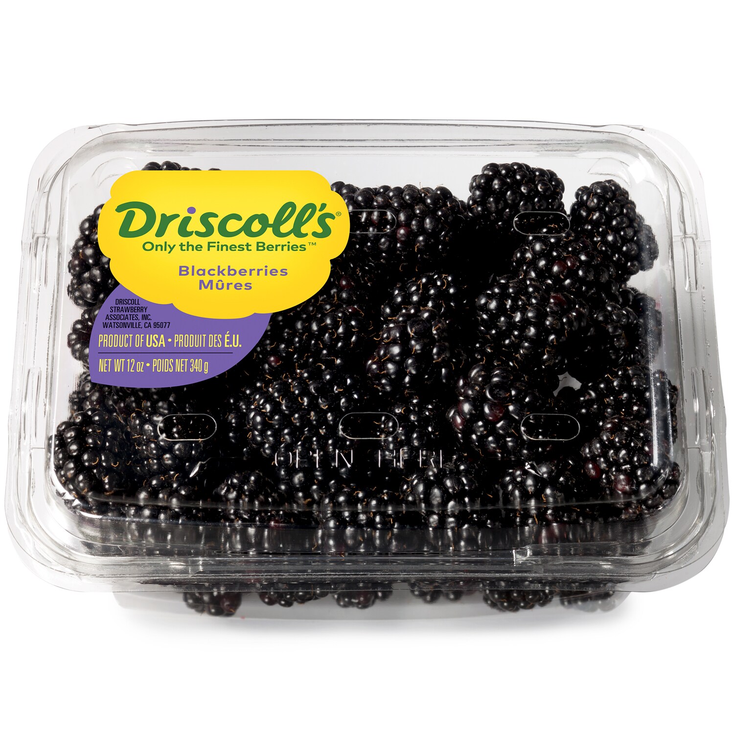 Blackberries