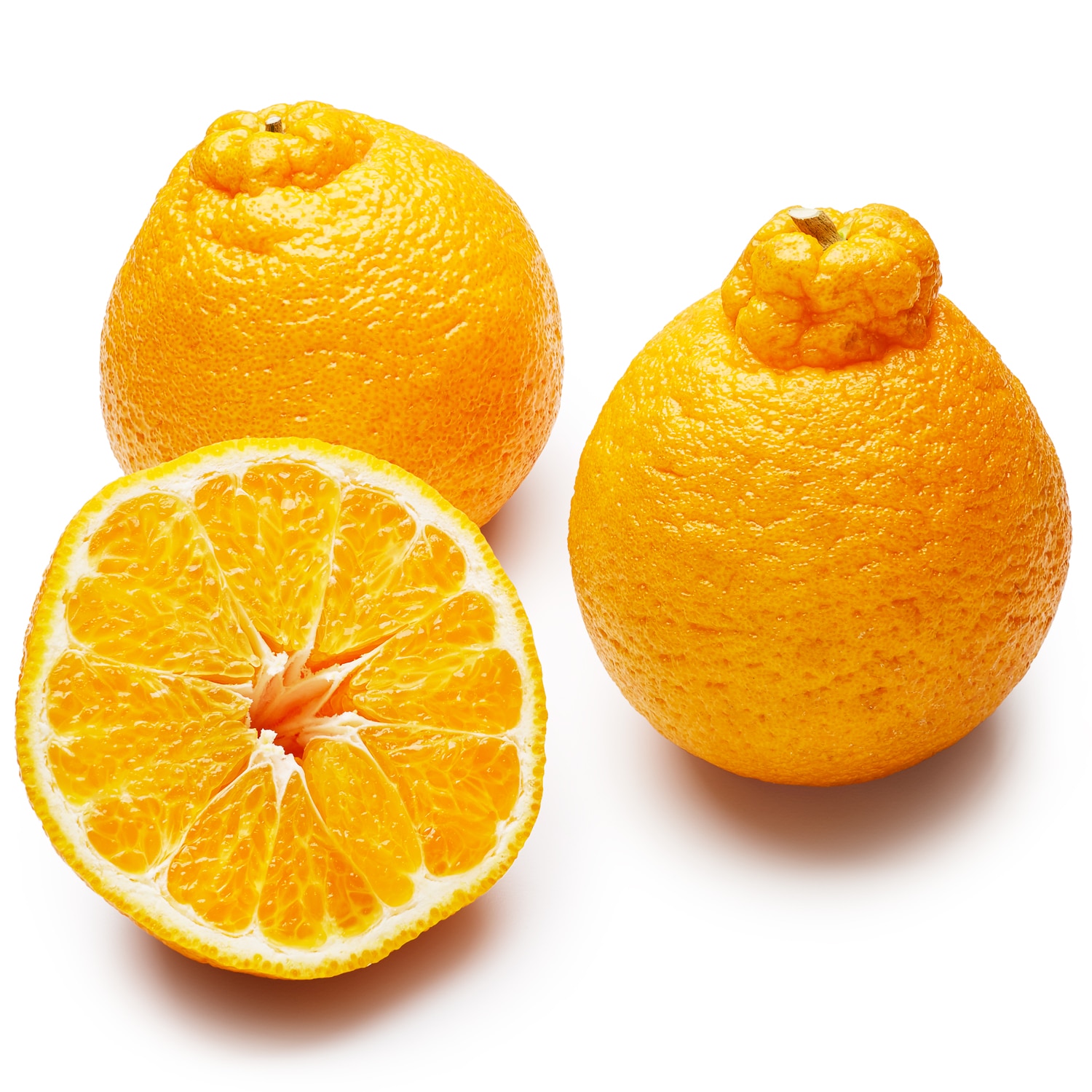 Yokozuna Sumo Citrus