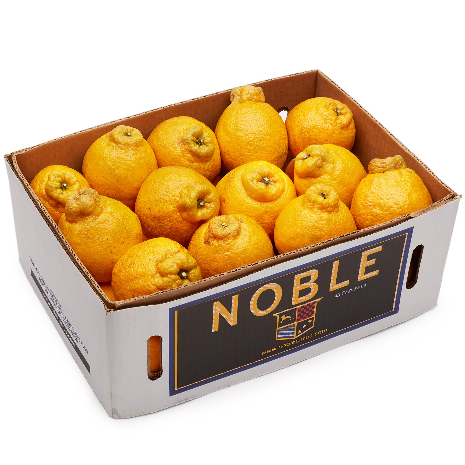 Seminole Pride Noble Shiranuhi Tangerines, Case