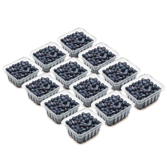Blueberries, Case