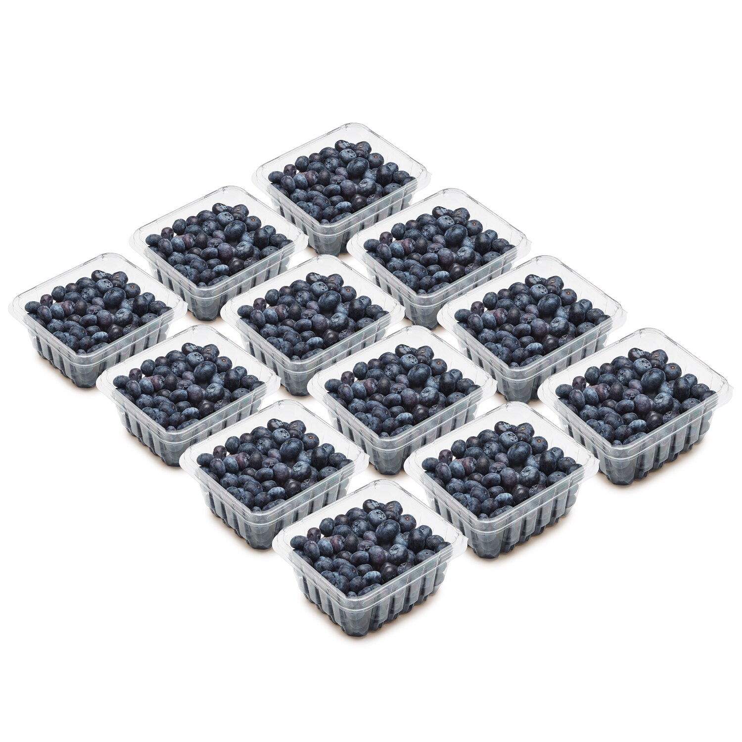 Organic Blueberries, Case