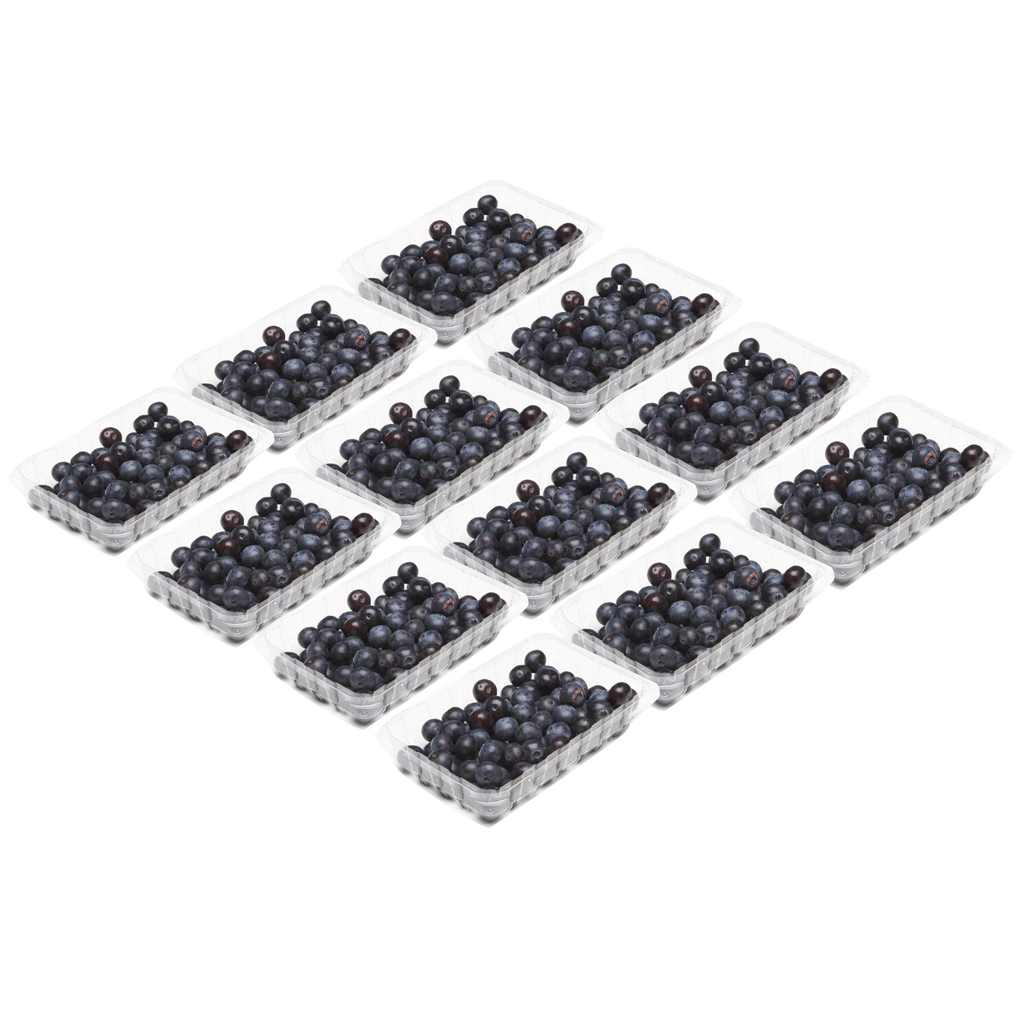 Family Tree Farms Jumbo Blueberries, Case, 12ct FreshDirect