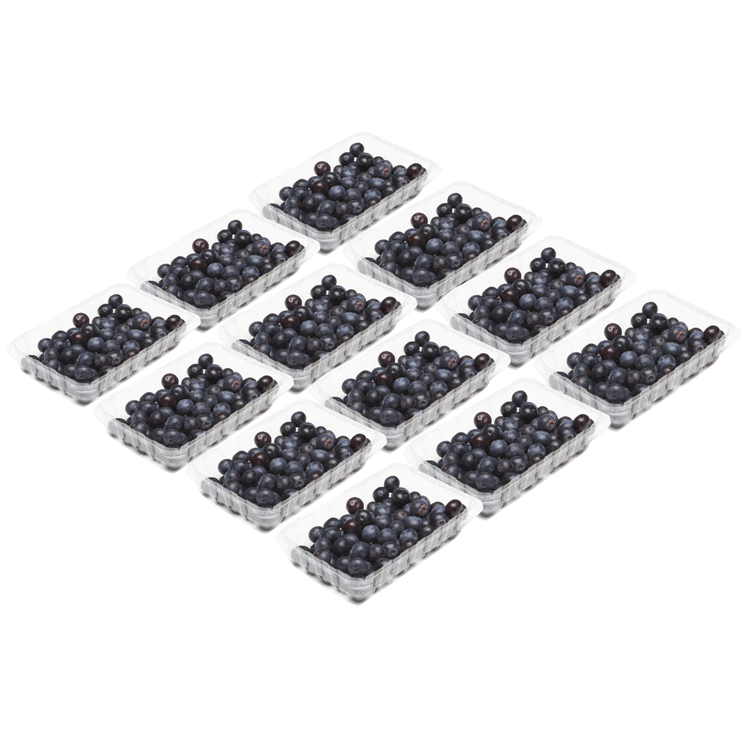 Family Tree Farms Jumbo Ultra-Premium Blueberries, Case