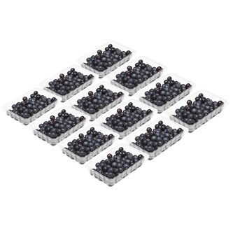 Family Tree Farms Jumbo Ultra-Premium Blueberries, Case