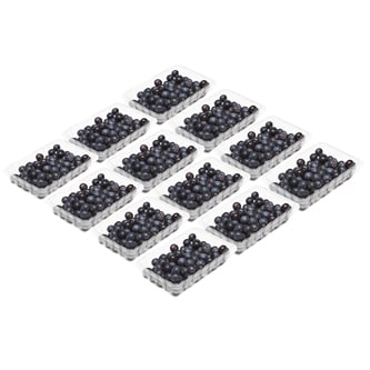 Family Tree Farms Jumbo Ultra-Premium Blueberries, Case