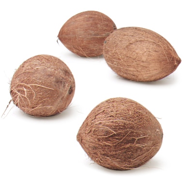 Coconut