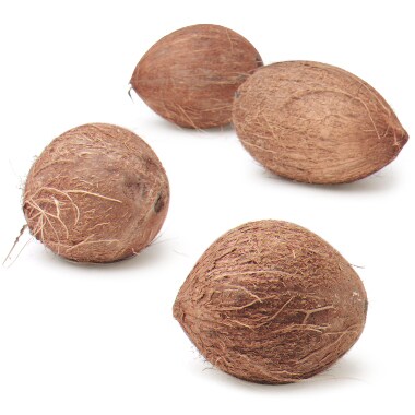 Coconut