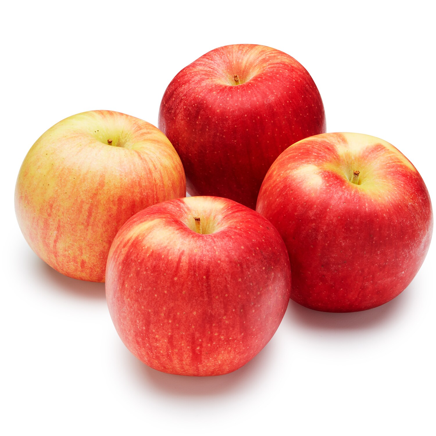 Organic Lady Alice Apples