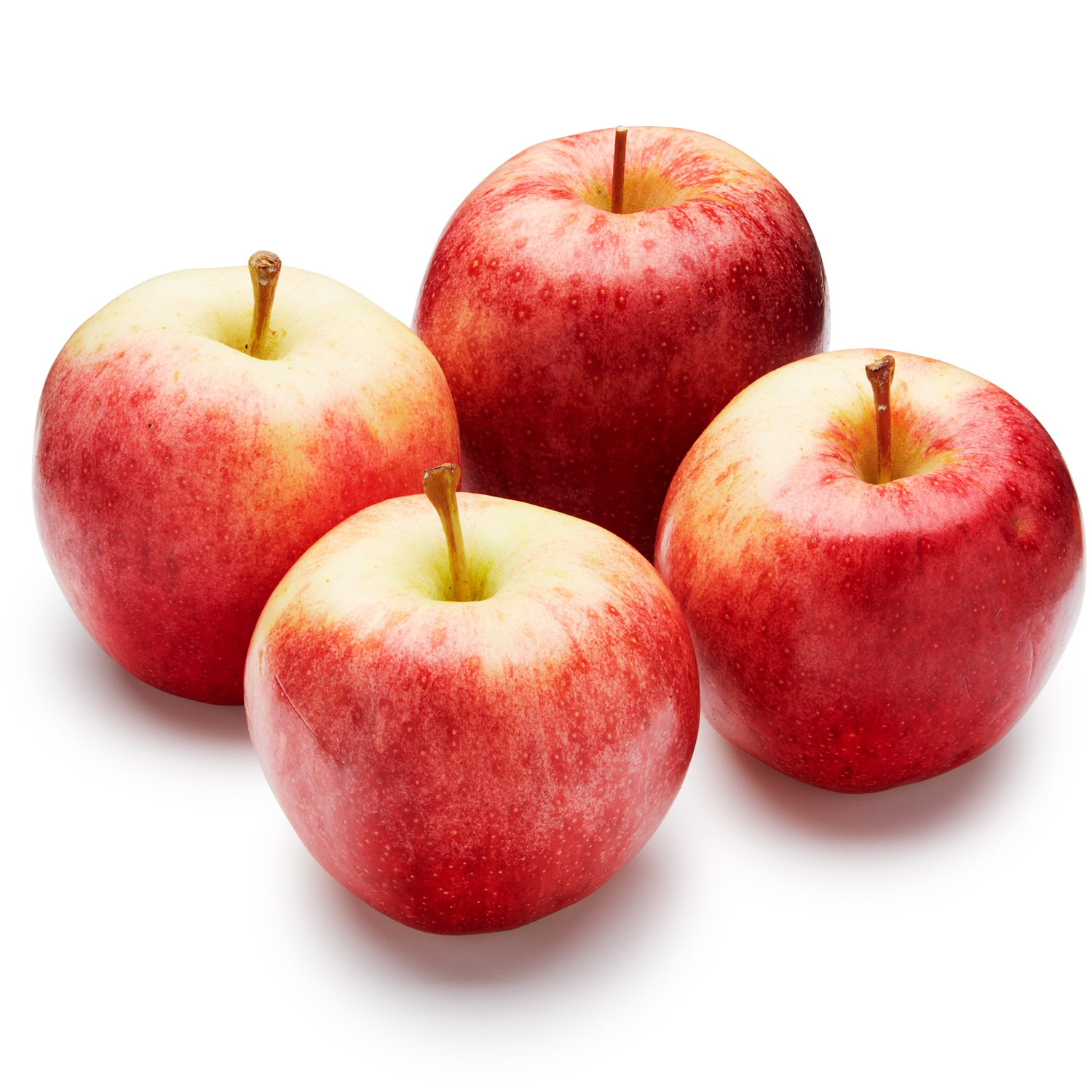 Hudson Valley Gala Apples