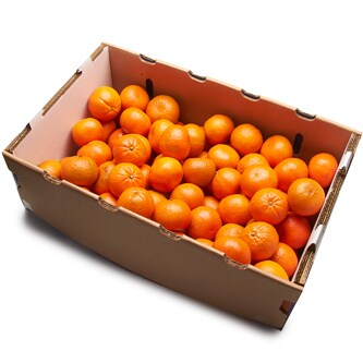 Clementines, Case