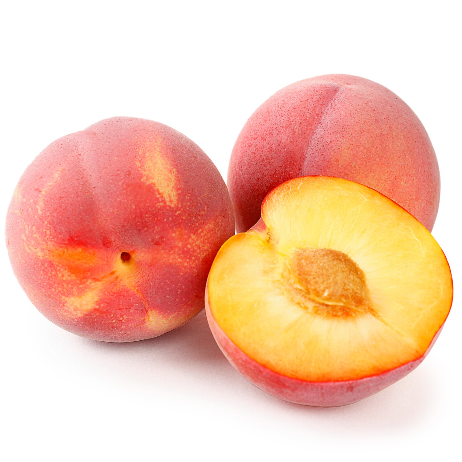 Family Tree Farms Rose Aprium