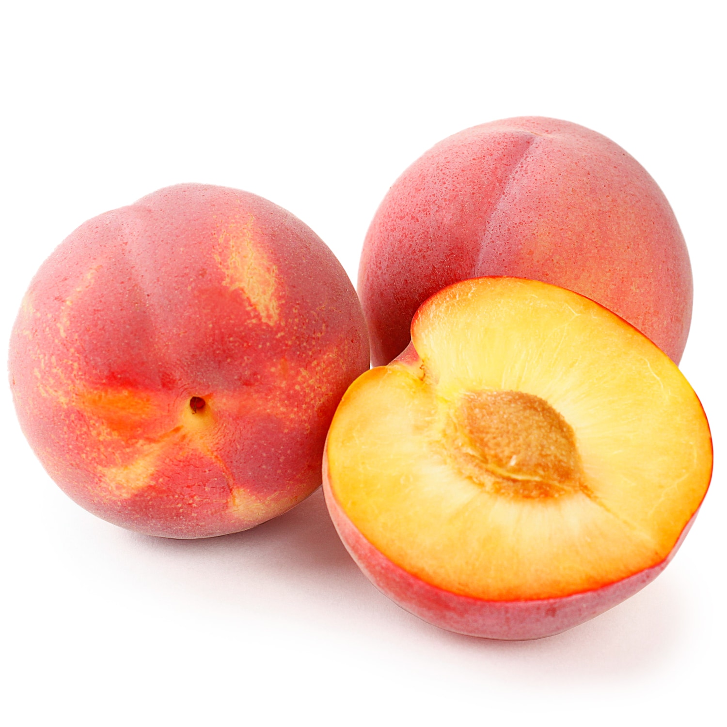 Family Tree Farms Rose Aprium