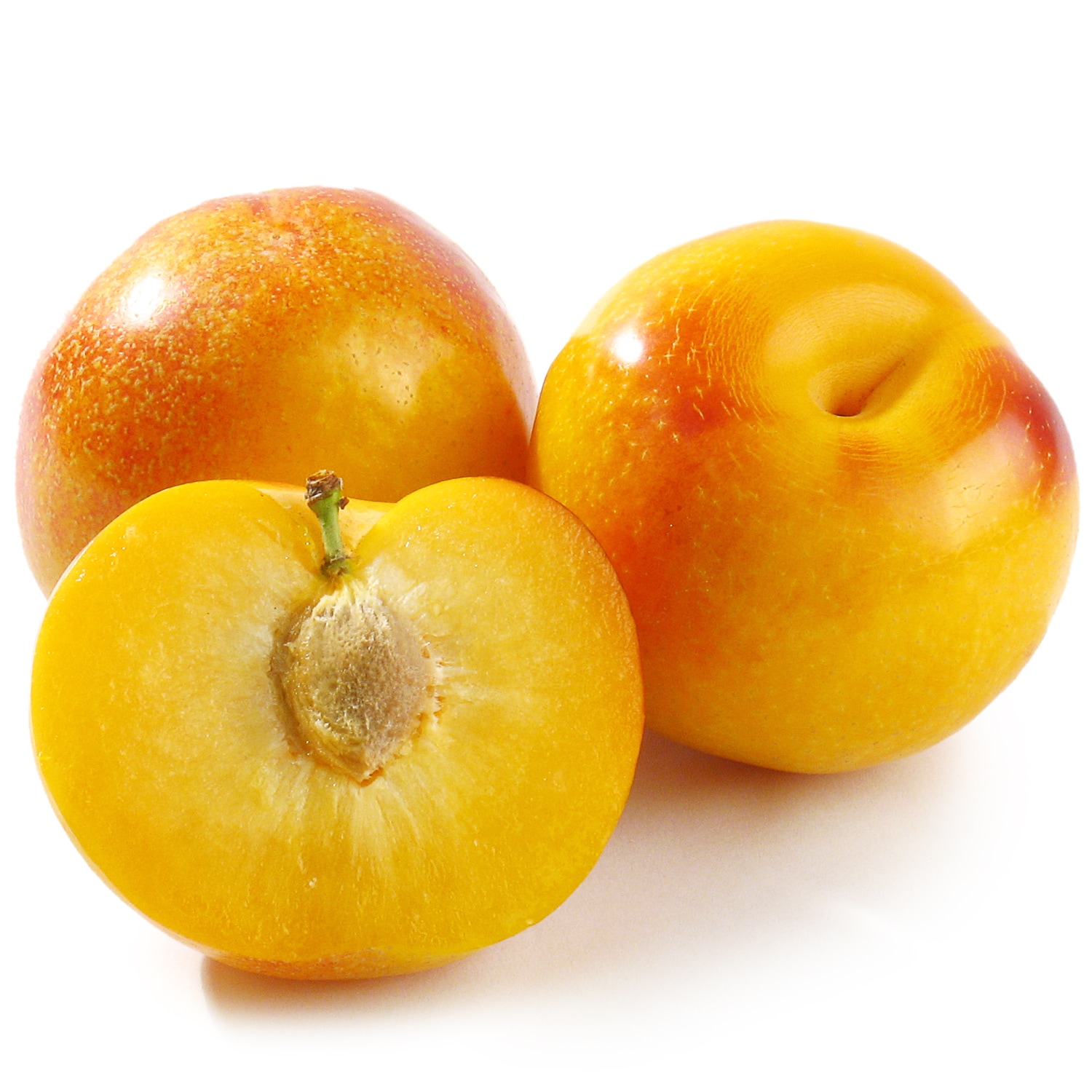 Family Tree Farms Tropical Sunrise Plumcot
