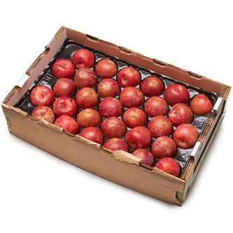 Family Tree Farms Best In Season Plumcot, Case