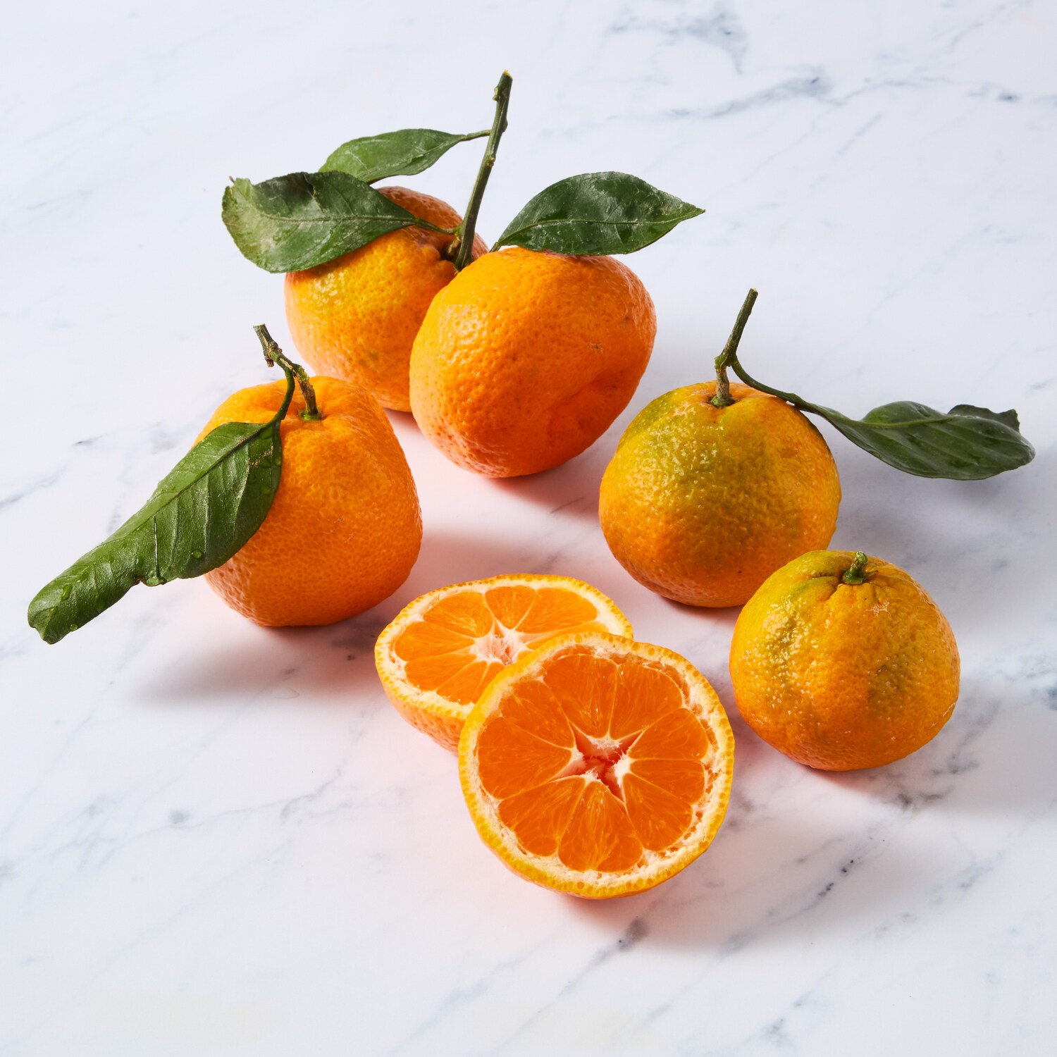 Family Tree Farms Satsuma Mandarins