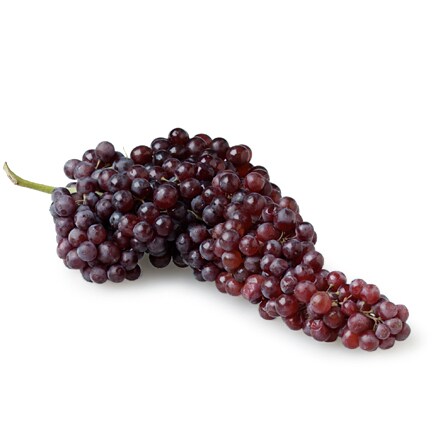 Champagne Grapes